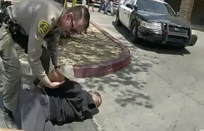 Officer who used excessive force allowed to plead guilty to misdemeanor after felony conviction