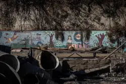 Nearly half of Pasadena Unified schools have contaminated soil, district finds