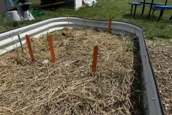 Prince George’s Community College’s garden is growing, in more ways than one